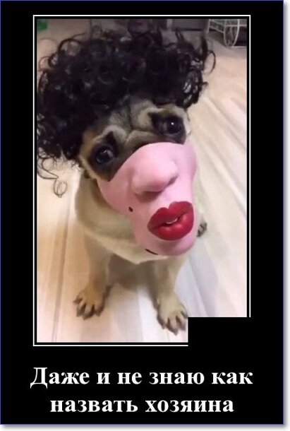 Новые демотиваторы 2019 года