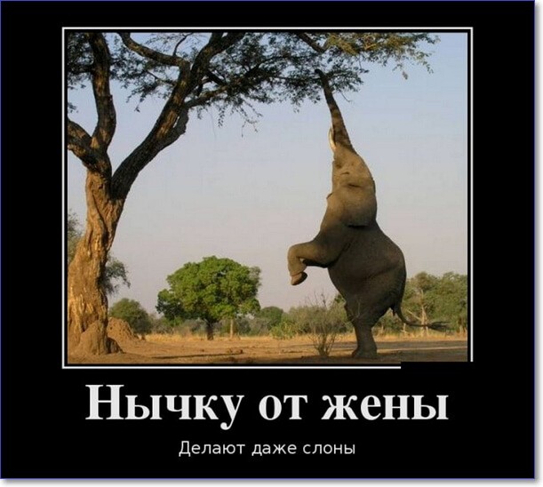 Прикольные демотиваторы Прикольные демотиваторы