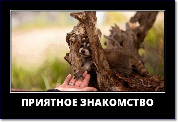 Злобные демотиваторы