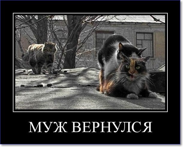 Злобные демотиваторы