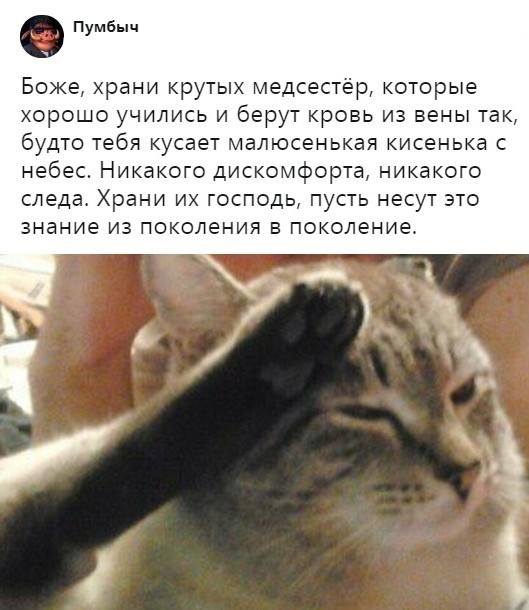 Скриншоты из социальных сетей (41 фото)