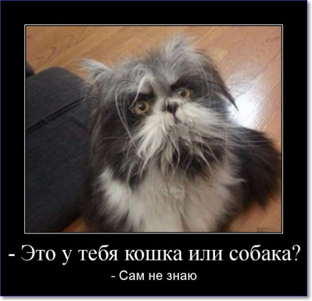 Злобные демотиваторы