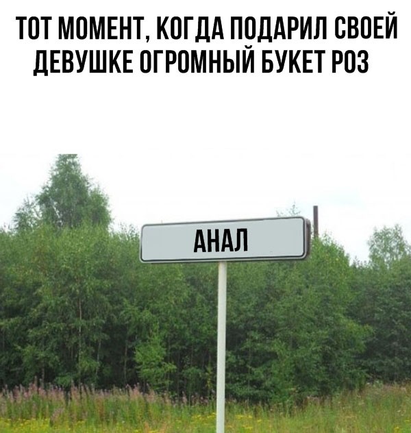 Лучшие прикольные картинки с надписями (20 фото)