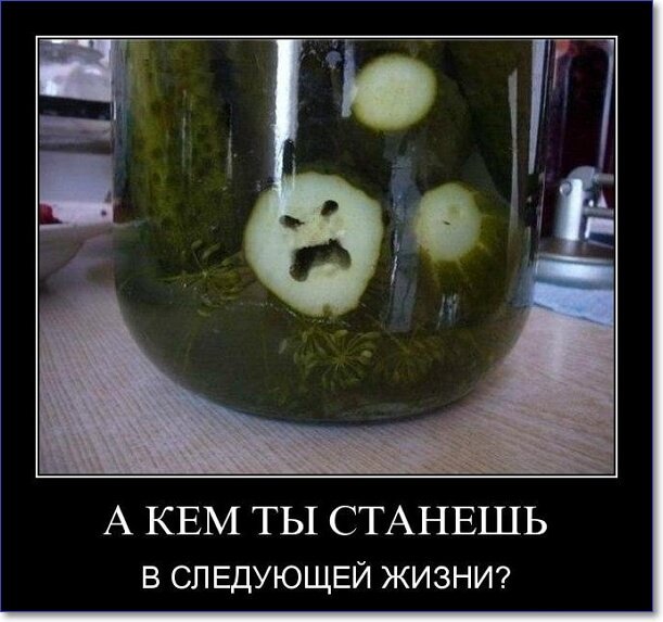 Злобные демотиваторы