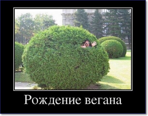 Злобные демотиваторы