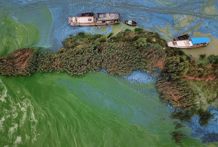 Подборка прикольных фотографий (86 фото)