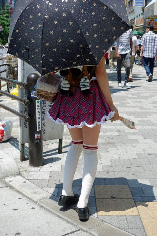 Подборка прикольных фотографий (86 фото)