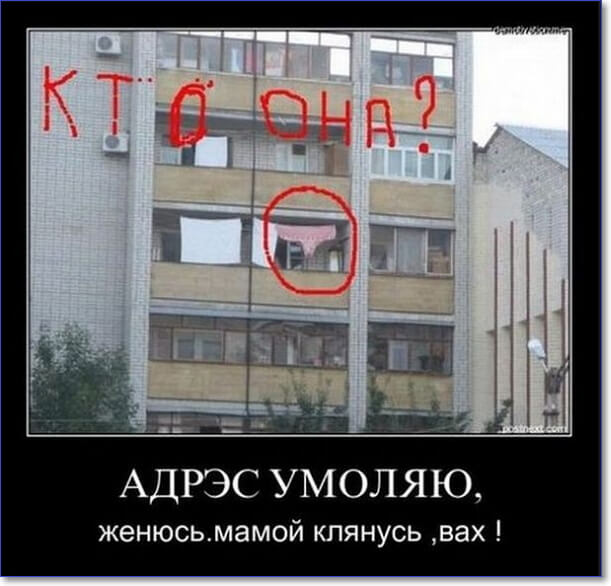 Прикольные демотиваторы Прикольные демотиваторы