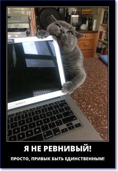 Новые демотиваторы 2019 года