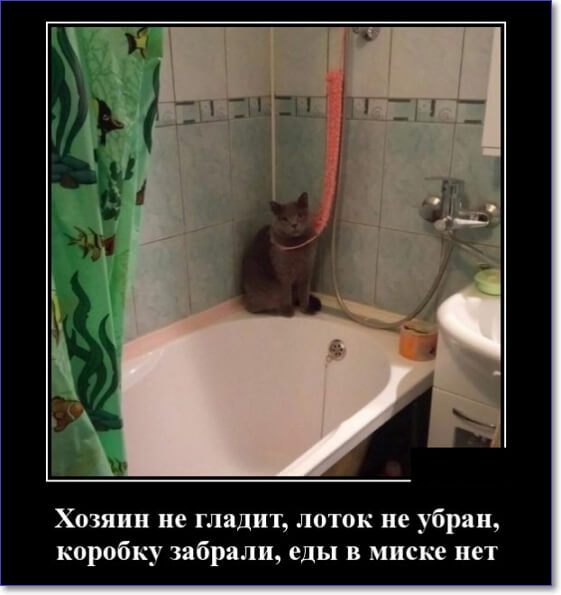 Кайфологовые демотиваторы