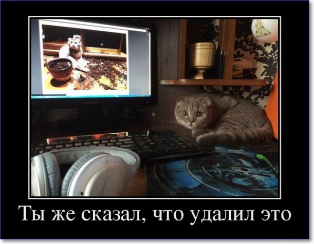 Новые демотиваторы 2019 года