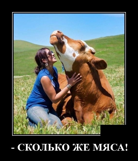 Демотиваторы 2019 года Демотиваторы 2019 года