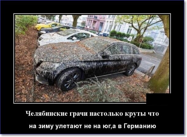 Кайфологовые демотиваторы