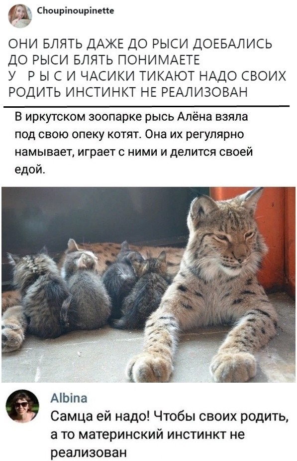 Скриншоты из социальных сетей (59 фото)