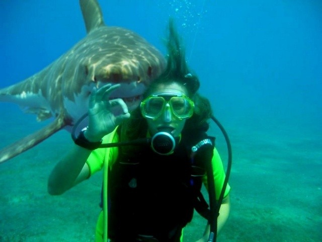 Подборка мемасиков и картинок (20 фото)