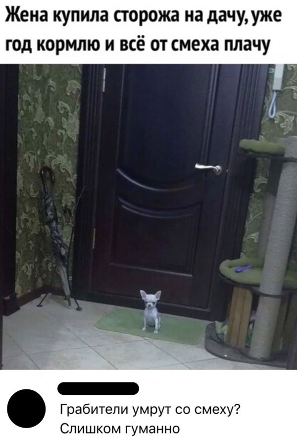 Скриншоты из социальных сетей (59 фото)