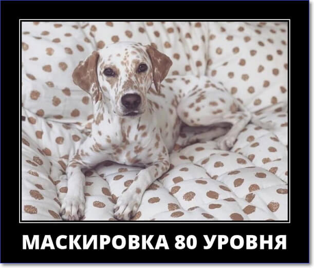 Прикольные демотиваторы, которые можно скачать