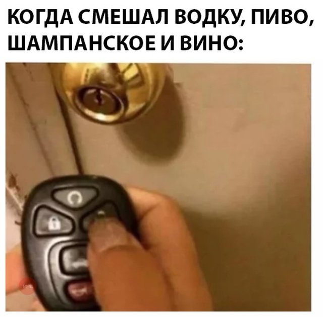 Подборка фото-приколов с надписями (89 фото)