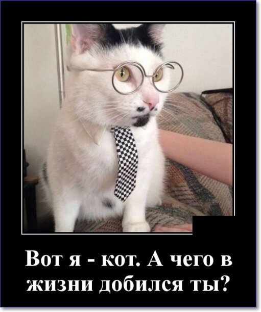 Забавные и очень смешные демотиваторы про девушек и не только