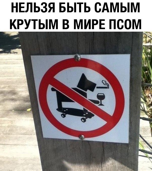 Странный юмор из соцсетей (33 фото) Странный юмор из соцсетей (33 фото)
