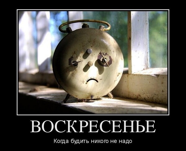 Свежие демотиваторы 2019 года из соцсети ВК