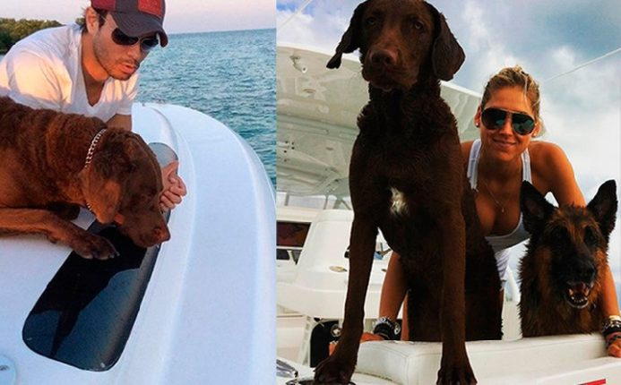 Анна Курникова Анна Курникова