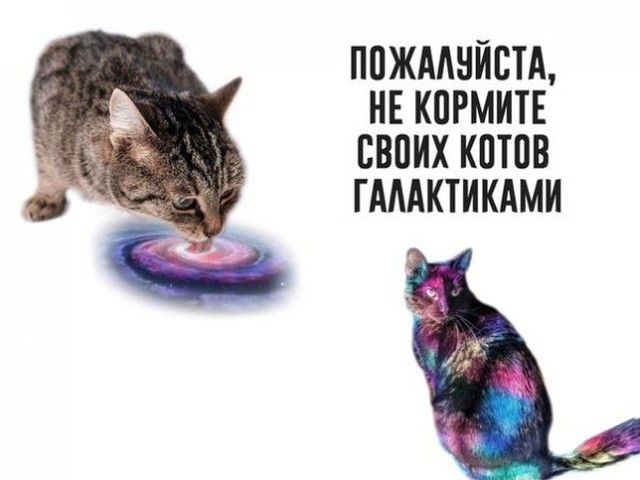 Очень странный юмор из социальных сетей (30 фото)