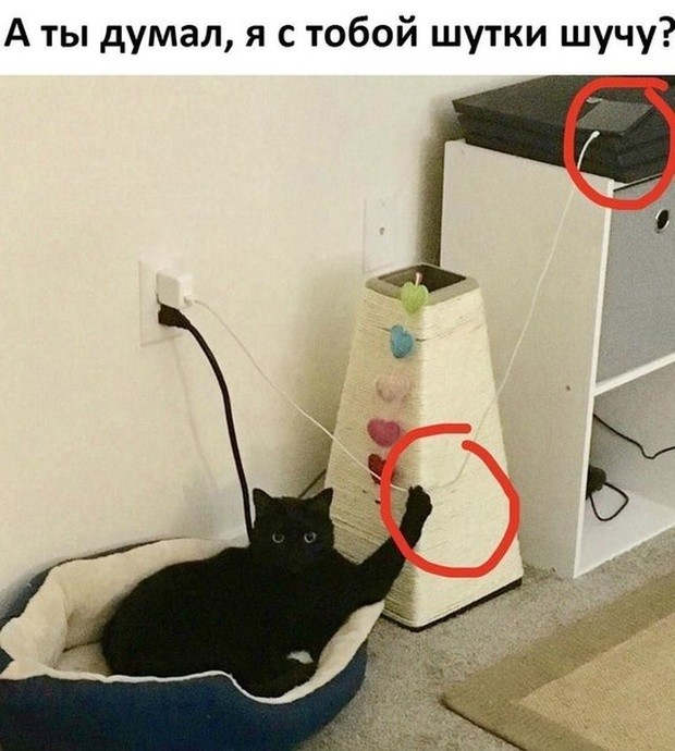 Подборка мемасиков и картинок (20 фото)