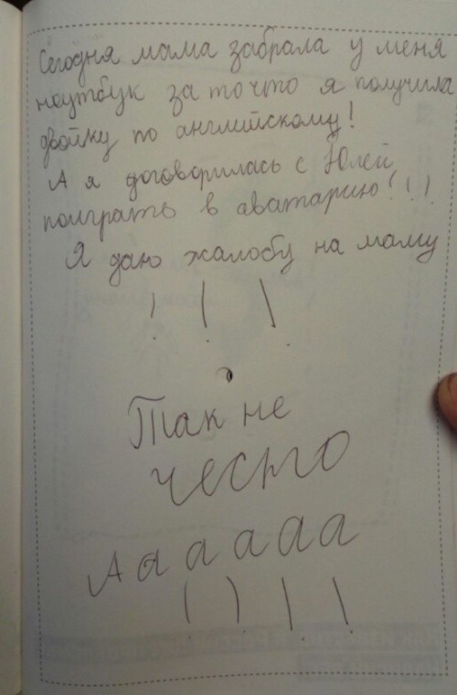 Что пишут дети в своих дневниках (30 фото)