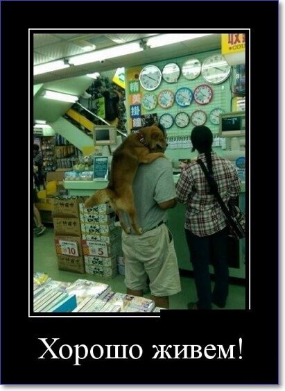 Злобные демотиваторы