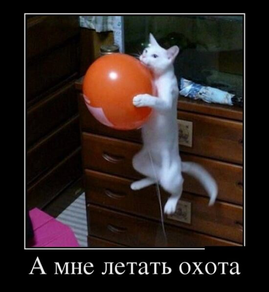 Фото русский демотиватор