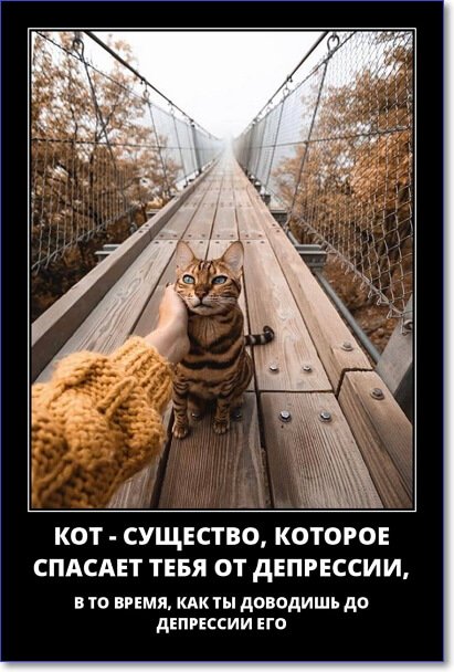 Кайфологовые демотиваторы