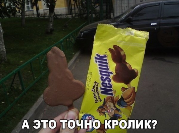 Прикольные мемы и картинки с надписями (25 фото)