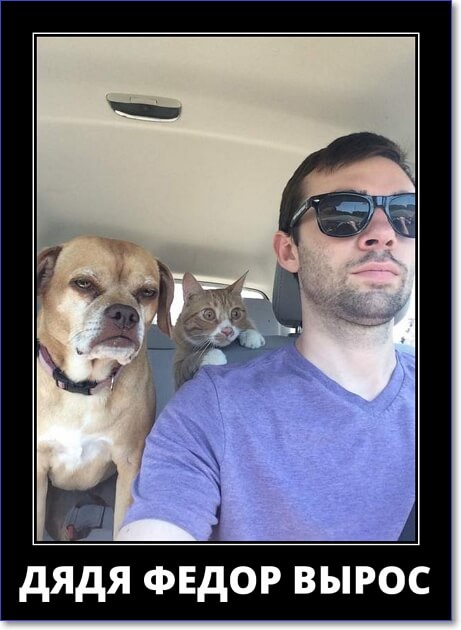 Злобные демотиваторы