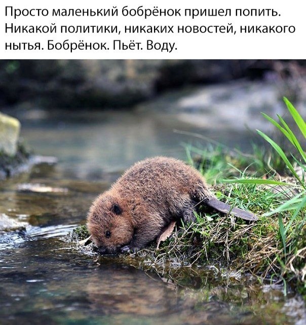 Юмор и шутки в соцсетях без особого смысла (30 фото) Юмор и шутки в соцсетях без особого смысла (30 фото)