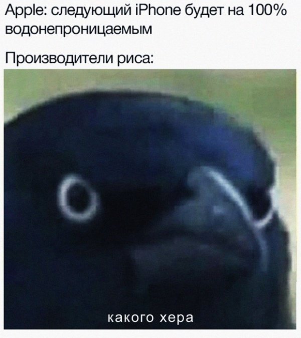 Пятничная подборка прикольных картинок, мемов и фото (43 шт.) Пятничная подборка прикольных картинок, мемов и фото (43 шт.)
