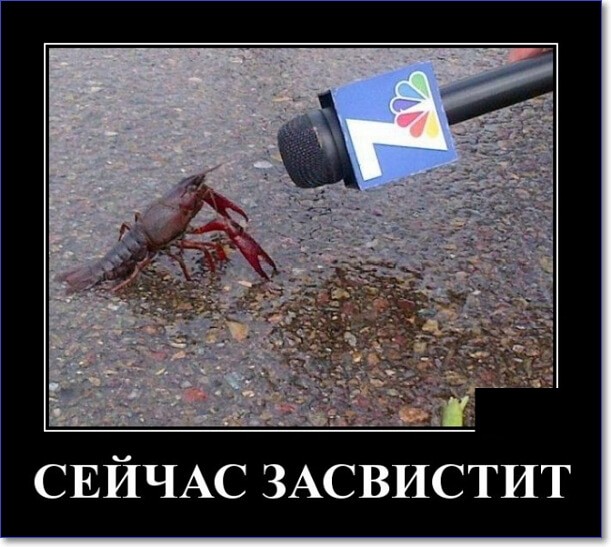 Прикольные демотиваторы, которые можно скачать