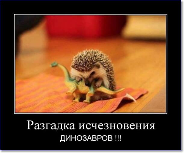 Злобные демотиваторы