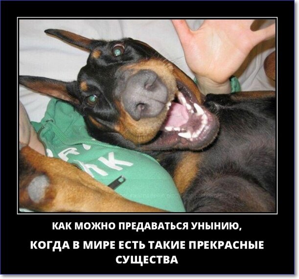 Злобные демотиваторы