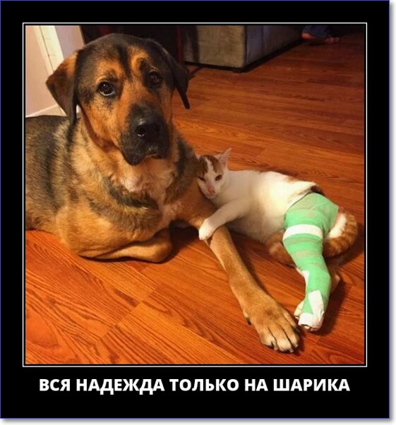 Злобные демотиваторы