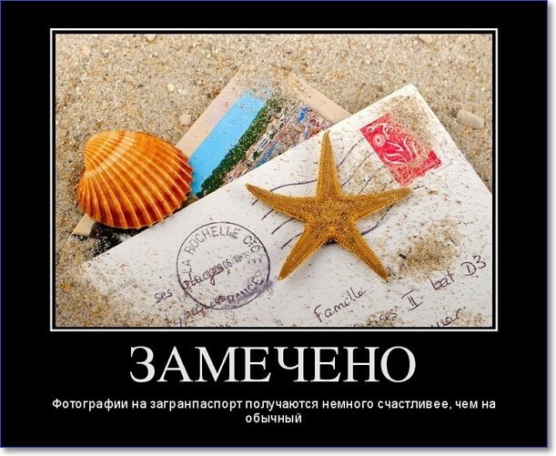 Новые демотиваторы 2019 года