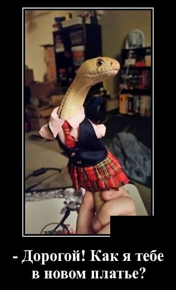 Фото русский демотиватор