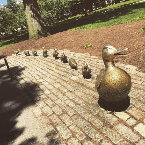 Очень смешные картинки (20 фото)