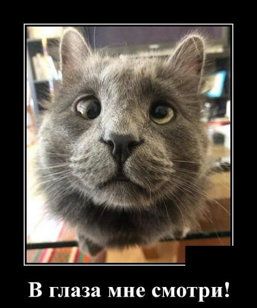 Фото русский демотиватор