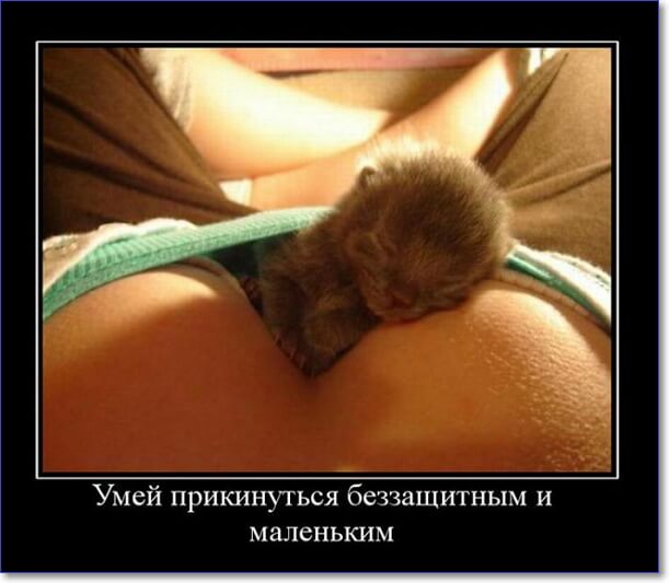 Забавные и очень смешные демотиваторы про девушек и не только