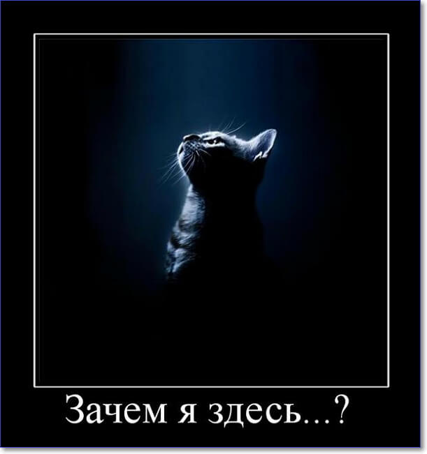 Злобные демотиваторы