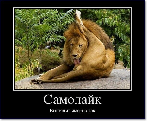 Прикольные демотиваторы Прикольные демотиваторы