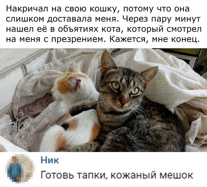 Скриншоты из социальных сетей (40 фото)