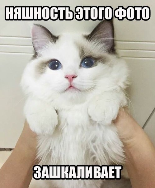 Подборка мемасиков и картинок (20 фото)