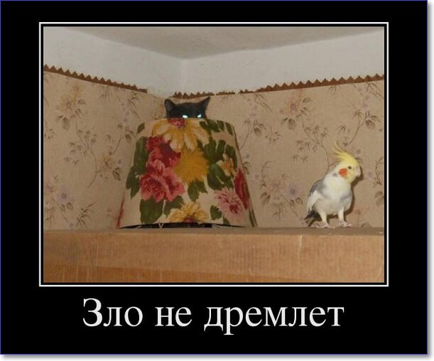 Злобные демотиваторы